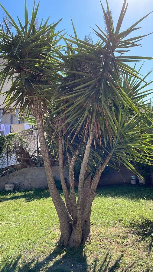 Casa Vacanza Villa Palermo Dış mekan fotoğraf