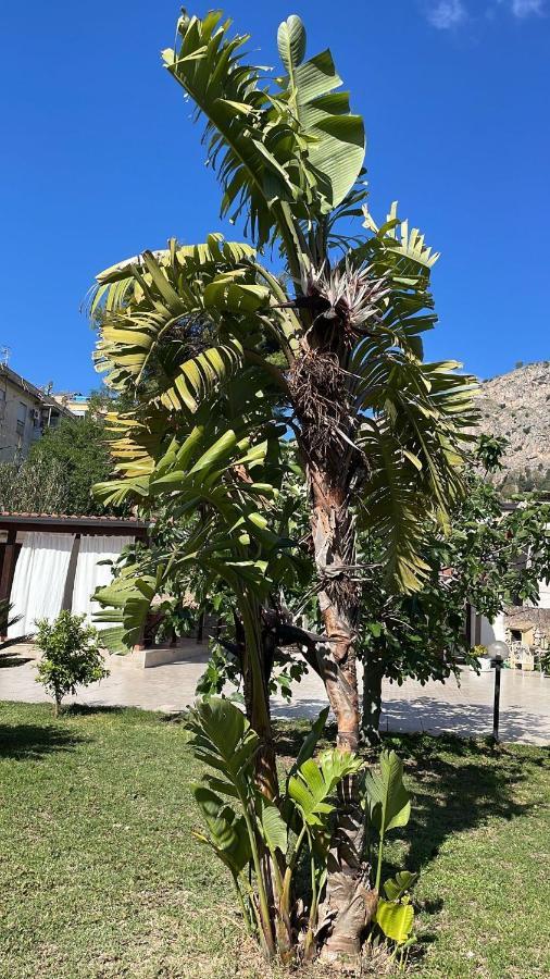Casa Vacanza Villa Palermo Dış mekan fotoğraf